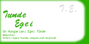 tunde egei business card